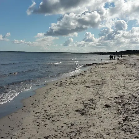 Kunsthaus Am Hafen - Umzaeunter Garten, Sauna Im Haus Breege