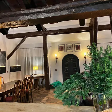 Kunsthaus Am Hafen - Umzaeunter Garten, Sauna Im Haus *